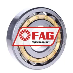 FAG N411-M1-C3