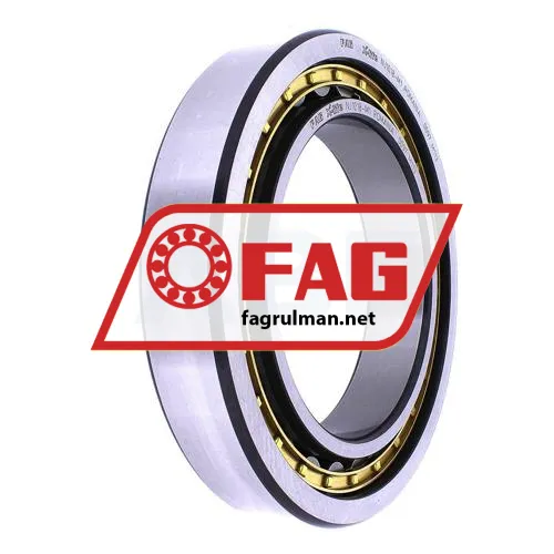 FAG NJ1018-M1