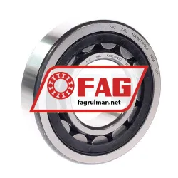 FAG NJ310-E-TVP2-HLD-C3