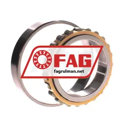 FAG N1014-K-M1-SP