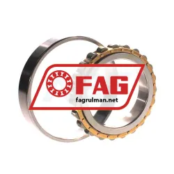 FAG N1014-K-M1-SP rulman resim 2