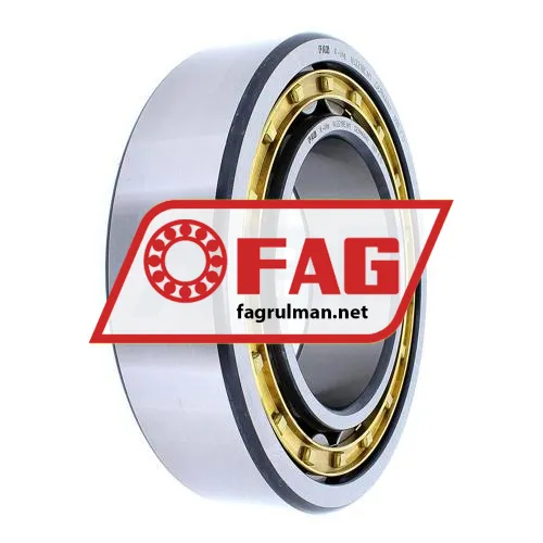FAG NJ2218-E-M1