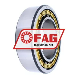 FAG NJ2218-E-M1