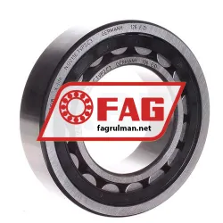 FAG NJ2213-E-TVP2-C3
