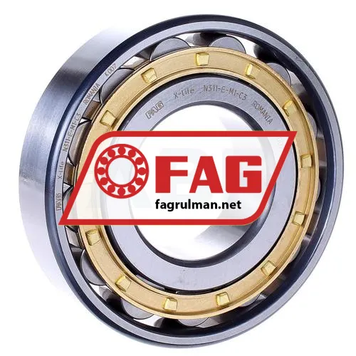 FAG N311-E-M1-C3