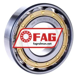 FAG N311-E-M1-C3