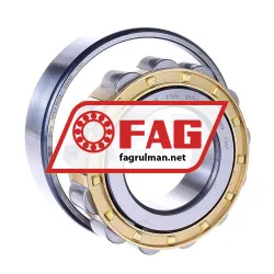 FAG N311-E-M1-C3 rulman resim 2