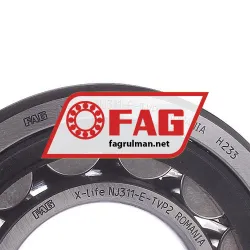FAG NJ311-E-TVP2 rulman resim 3