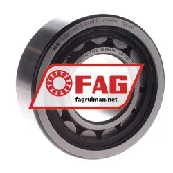 FAG NJ2311-E-TVP2