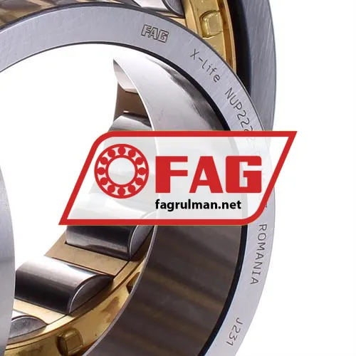 FAG NUP2222E-M1-C3 ürün fotoğrafı 2