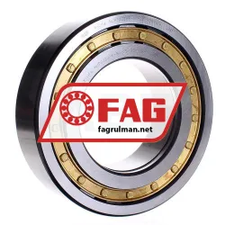 FAG NUP2222E-M1-C3