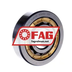 FAG NJ407M1