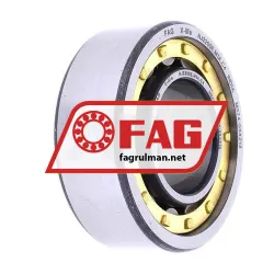 FAG NJ2205E-M1A-C4