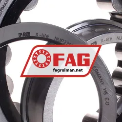 FAG NUP220-E-TVP2-C3 rulman resim 2