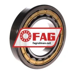 FAG NJ219-E-M1