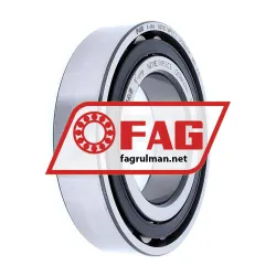 FAG N211-E-TVP2-C3