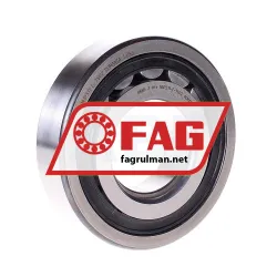 FAG NUP311-E-TVP2