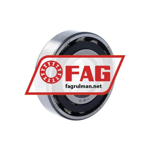 FAG N306-E-TVP2