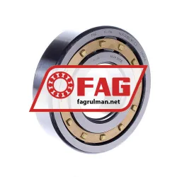 FAG NUP308E-M1-C3