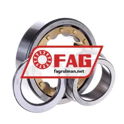 FAG NUP308E-M1-C3 rulman resim 2