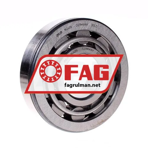 FAG NU409
