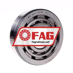FAG NU409