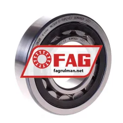 FAG NU309E-TVP2-C3