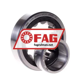 FAG NU309E-TVP2-C3 rulman resim 2