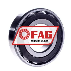 FAG N314E-TVP2 rulman resim 3