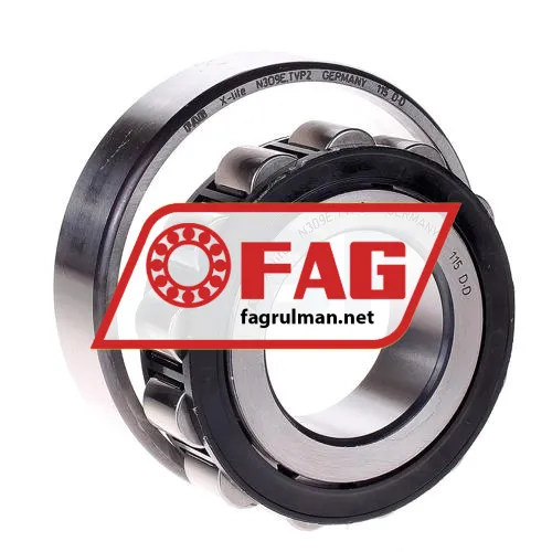 FAG N309E-TVP2 ürün fotoğrafı 2