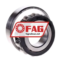 FAG N309E-TVP2 rulman resim 2