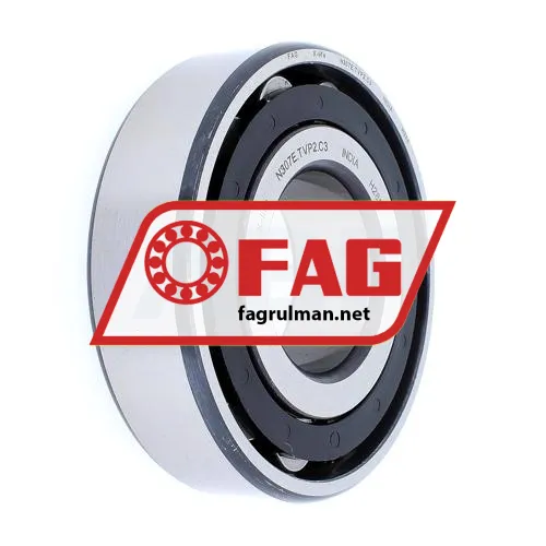 FAG N307E-TVP2-C3