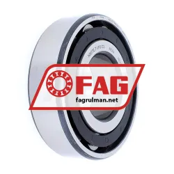FAG N307E-TVP2-C3