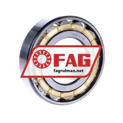 FAG N208E-M1