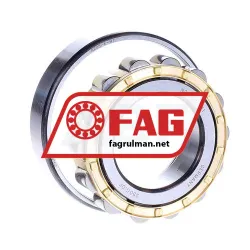 FAG N208E-M1 rulman resim 2