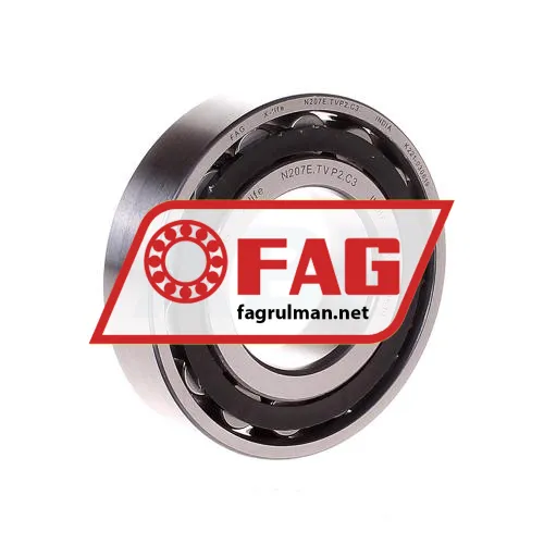 FAG N207E-TVP2-C3