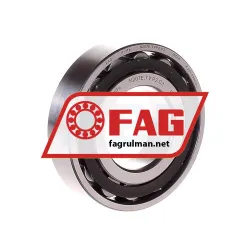 FAG N207E-TVP2-C3