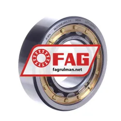 FAG NU2208E-M1A-C3