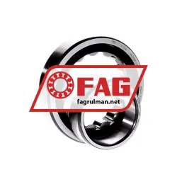 FAG NU209E-TVP2 rulman resim 2