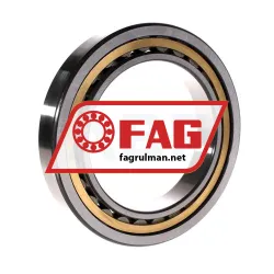 FAG NU1024M1-C3 rulman resim 2