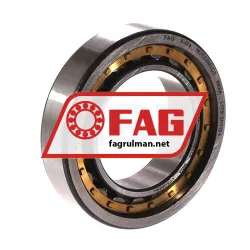 FAG NU1008M1-C3