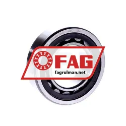 FAG NJ2209E-TVP2