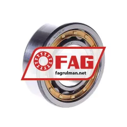 FAG NJ2206E-M1