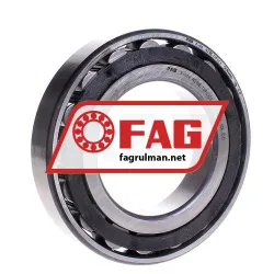 FAG N218E-TVP2-C3