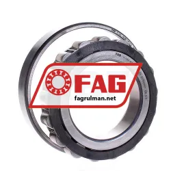 FAG N218E-TVP2-C3 rulman resim 2