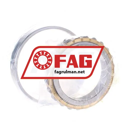 FAG N1016-K-M1-SP