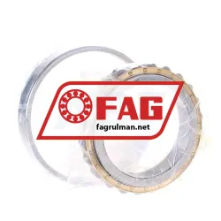 FAG N1016-K-M1-SP