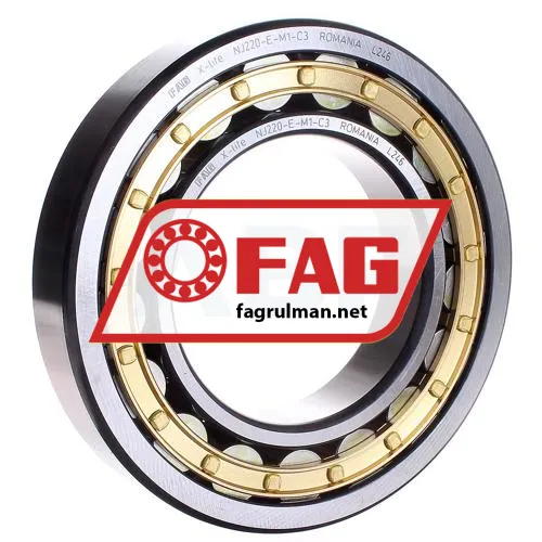 FAG NJ220-E-M1-C3