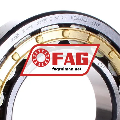 FAG NJ220-E-M1-C3 ürün fotoğrafı 2