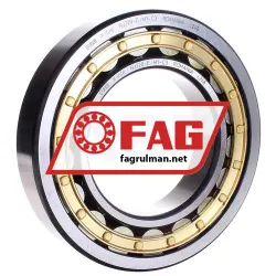 FAG NJ220-E-M1-C3
